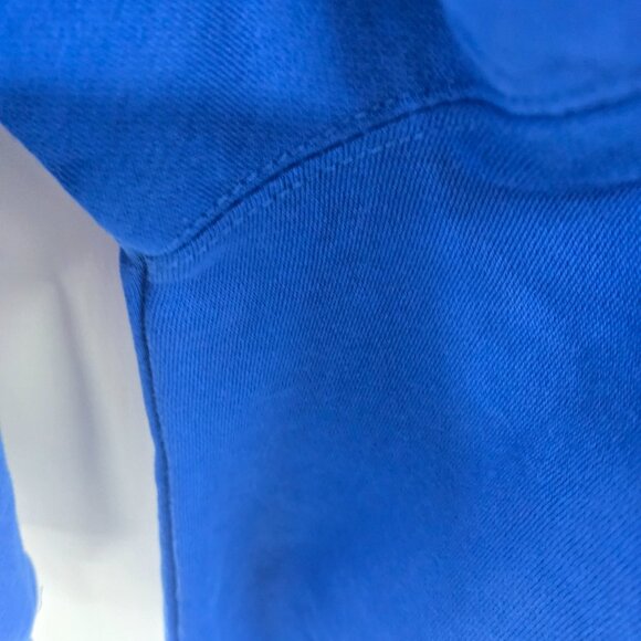 Lane Seven Blue Dog Cone Humor Hooded Sweatshirt Size XL - Picture 8 of 12